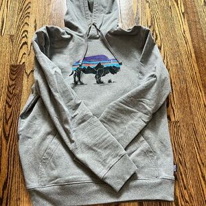 Patagonia Gray Hoodie with Colorful Mountain Design